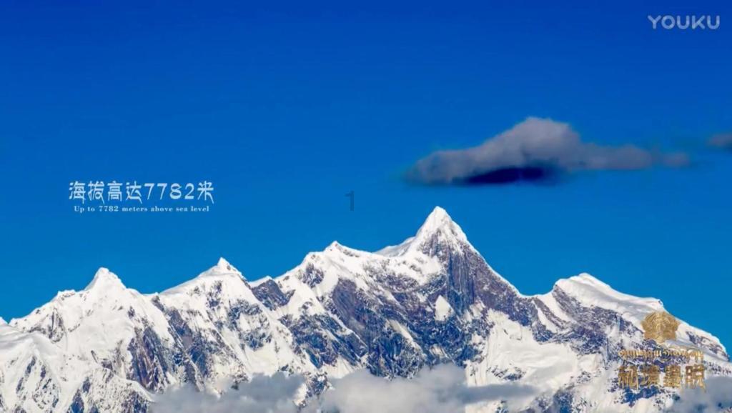 7亿话题量 布鲁威斯号日打卡人次破万